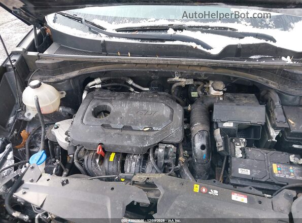 KNDPMCAC2N7975286 2022 KIA SPORTAGE Black Вид ззаду