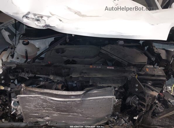 KNDPMCAC4M7905223 2021 KIA SPORTAGE Белый Вид сзади
