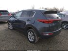 2019 Kia Sportage Lx Синий vin: KNDPMCAC5K7617854