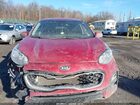 2022 Kia Sportage Lx Красный vin: KNDPMCAC8N7010156