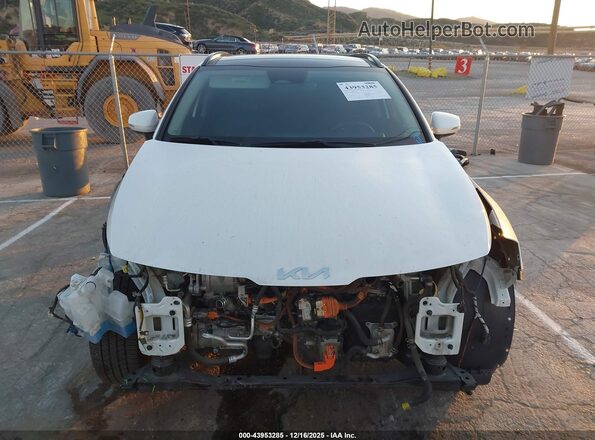 KNDPVCAG6P7025869 2023 KIA SPORTAGE HYBRID Белый Вид задней части салона