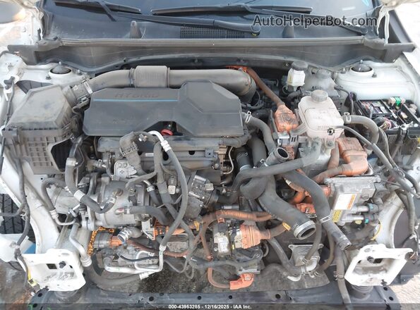 KNDPVCAG6P7025869 2023 KIA SPORTAGE HYBRID Белый Вид сзади