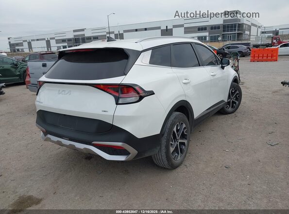 KNDPVCAG6P7099096 2023 KIA SPORTAGE HYBRID Белый Задняя правая четверть