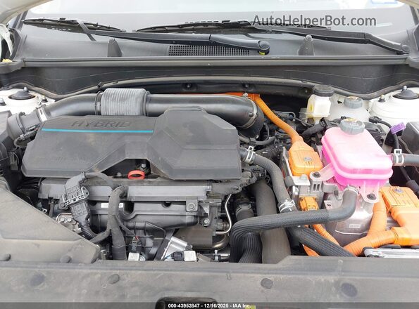 KNDPVCAG6P7099096 2023 KIA SPORTAGE HYBRID Белый Вид сзади