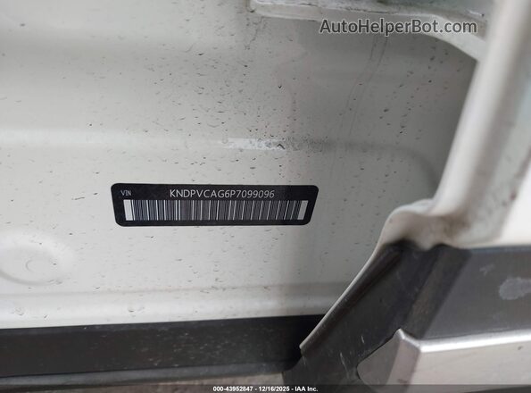 KNDPVCAG6P7099096 2023 KIA SPORTAGE HYBRID Белый Вид подкапотного пространства