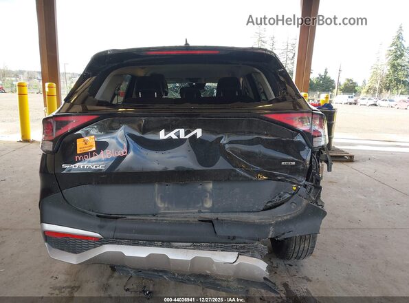KNDPVCAG8P7040082 2023 KIA SPORTAGE HYBRID Black 