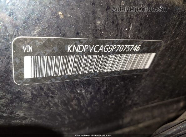 KNDPVCAG9P7075746 2023 KIA SPORTAGE HYBRID Синий Вид подкапотного пространства
