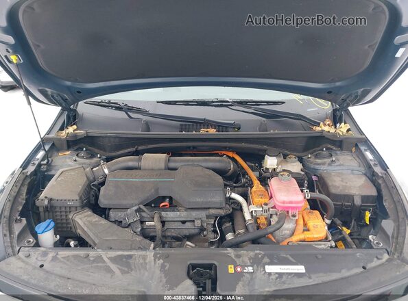 KNDPVCDG9R7156387 2024 KIA SPORTAGE HYBRID Синий Вид сзади