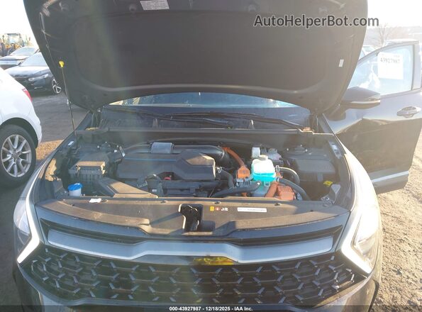 KNDPYDAH9P7061691 2023 KIA SPORTAGE PLUG-IN HYBRID Black Widok z tyłu