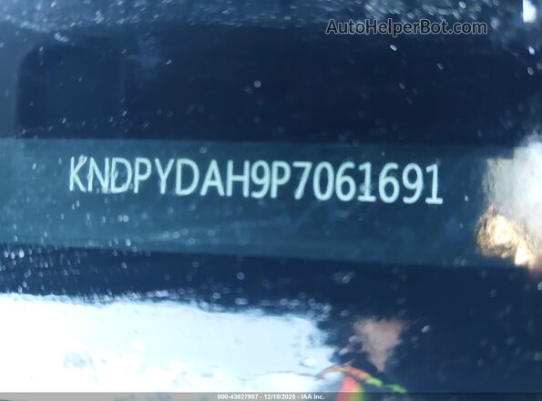 KNDPYDAH9P7061691 2023 KIA SPORTAGE PLUG-IN HYBRID Black 
