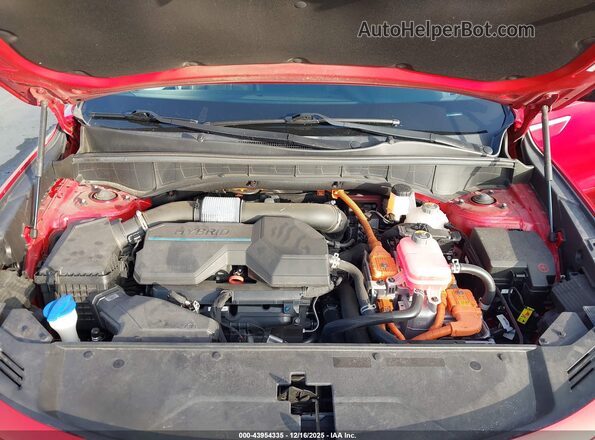 KNDRH4LG0M5050924 2021 KIA SORENTO HYBRID Красный Вид сзади