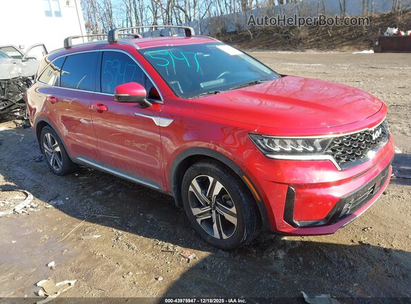 KNDRHDLG7P5176301 2023 KIA SORENTO HYBRID Red Przód prawy