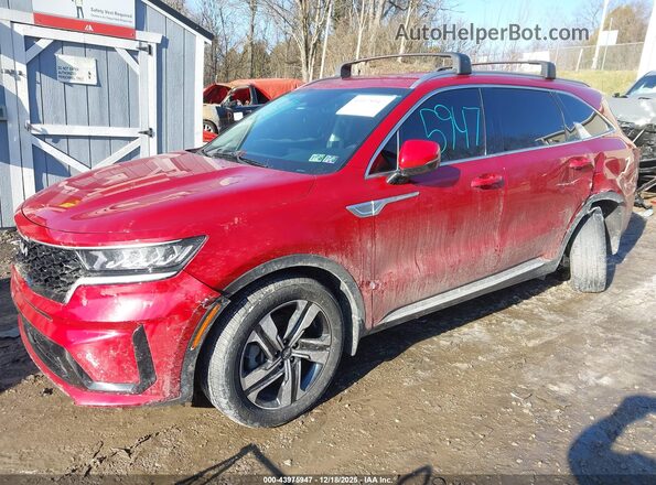 KNDRHDLG7P5176301 2023 KIA SORENTO HYBRID Red Przód lewy