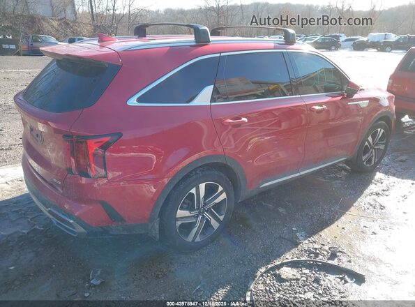 KNDRHDLG7P5176301 2023 KIA SORENTO HYBRID Red Tył prawy
