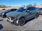 2025 Kia Sorento Plug-in Hybrid Ex Green vin: KNDRJDJH2S5300905