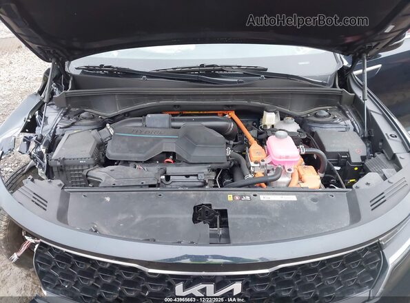KNDRKDLG8P5220193 2023 KIA SORENTO HYBRID Черный Вид сзади