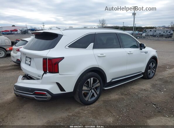 KNDRKDLGXP5204058 2023 KIA SORENTO HYBRID White Задня права чверть