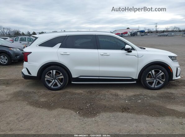 KNDRKDLGXP5204058 2023 KIA SORENTO HYBRID White Вид задньої частини салону