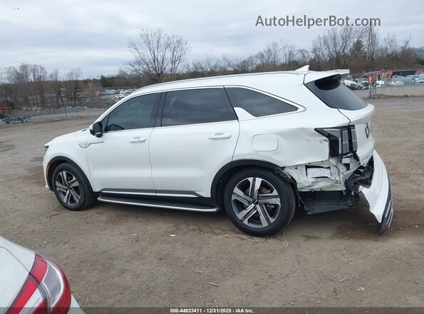 KNDRKDLGXP5204058 2023 KIA SORENTO HYBRID White Панорамний вид салону 360°