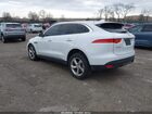 2019 Jaguar F-pace 25t Premium White vin: SADCJ2FX1KA399562