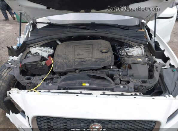 SADCJ2FX1KA399562 2019 JAGUAR F-PACE White Widok z tyłu