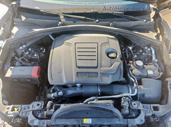 SADCT2EX5RA730729 2024 JAGUAR F-PACE Черный Вид задней части салона