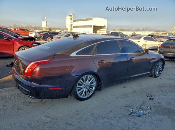 SAJWJ2GD3G8V99663 2016 JAGUAR XJL Burgundy Tył prawy