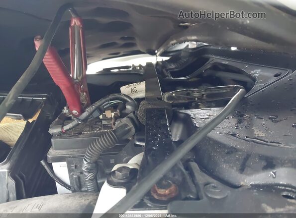 SALVP2RX4KH331609 2019 LAND ROVER RANGE ROVER EVOQUE White Widok z tyłu