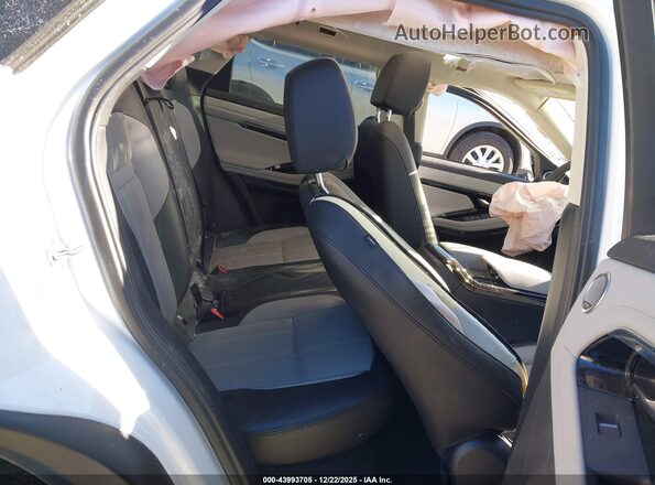 SALZL2FX9PH228758 2023 LAND ROVER RANGE ROVER EVOQUE White Vista de la etiqueta del VIN