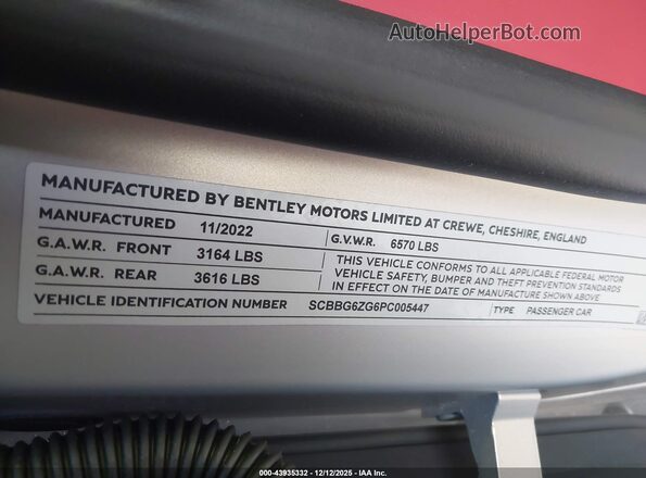 SCBBG6ZG6PC005447 2023 BENTLEY OTHER Silver Vista del compartimento del motor