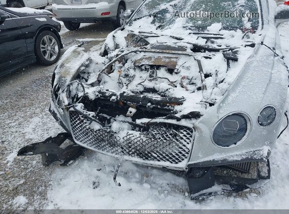 SCBCG2ZG3LC076029 2020 BENTLEY OTHER Серебряный Вид спереди