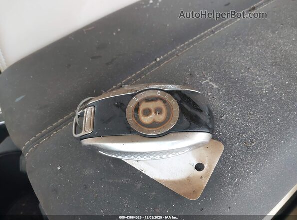 SCBCG2ZG3LC076029 2020 BENTLEY OTHER Серебряный Вид панели приборов