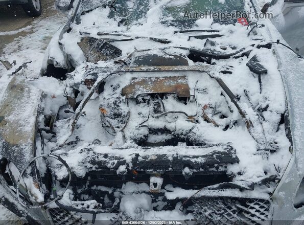 SCBCG2ZG3LC076029 2020 BENTLEY OTHER Серебряный Вид сзади