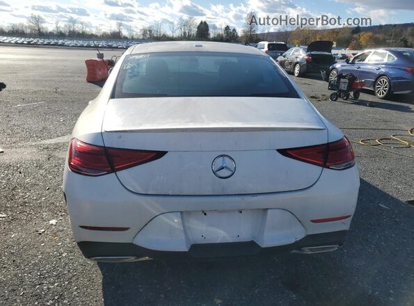 W1K2J5KB5LA073130 2020 MERCEDES-BENZ CLS-CLASS Белый Вид сзади