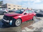 2021 Mercedes-benz A 220   Красный vin: W1K3G4EB8MJ279889