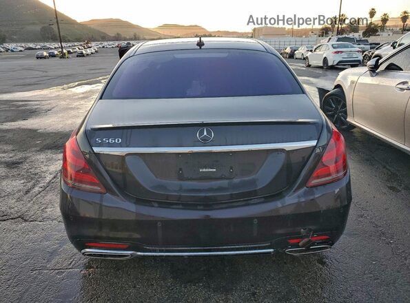 W1KUG8DB1LA558709 2020 MERCEDES-BENZ S Purple Rear view