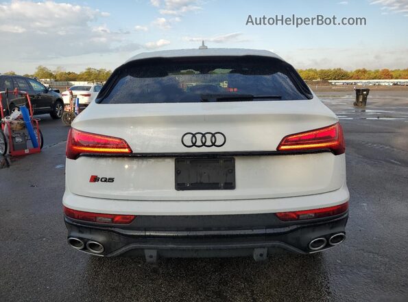 WA124AFY7N2062243 2022 AUDI SQ5 Белый Вид сзади