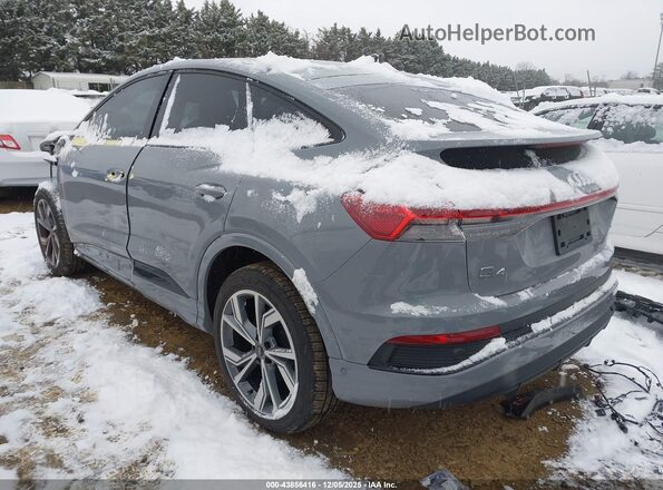 WA142BFZ2RP010038 2024 AUDI Q4 Серый Задняя левая четверть