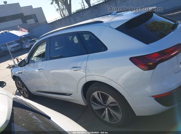 WA14AAGEXRB043049 2024 AUDI Q8 E-TRON Белый 
