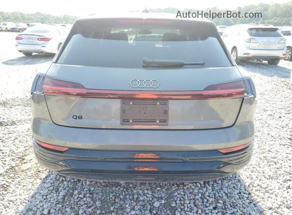 WA15ABGE7RB031094 2024 AUDI Q8 Gray Widok z tyłu