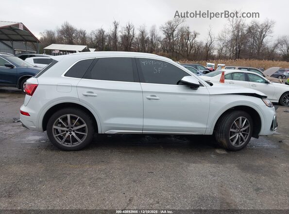 WA1A4AFY8P2033641 2023 AUDI SQ5 Белый Панорамный вид салона 360°
