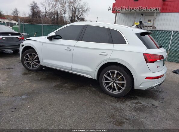 WA1A4AFY8P2033641 2023 AUDI SQ5 Белый Задняя левая четверть