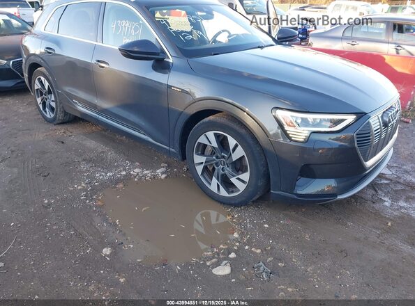 WA1AAAGE0MB020567 2021 AUDI E-TRON Gray წინა ხედი