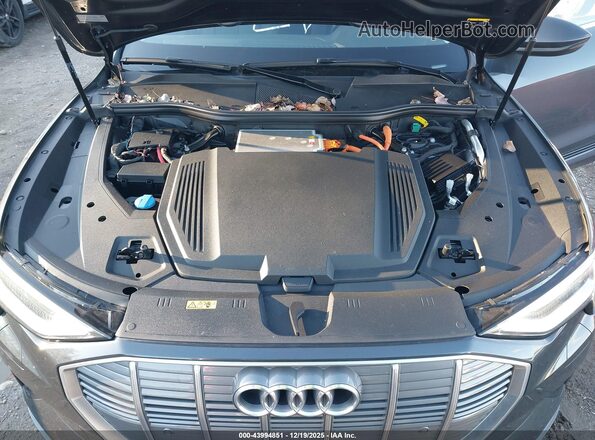 WA1AAAGE0MB020567 2021 AUDI E-TRON Gray უკანა ხედი