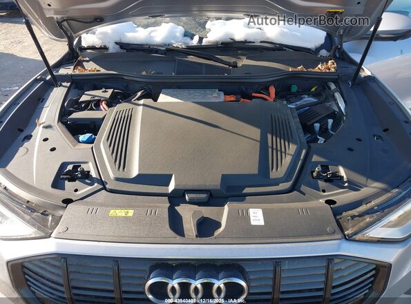 WA1AAAGE0MB026711 2021 AUDI E-TRON Silver Vista trasera