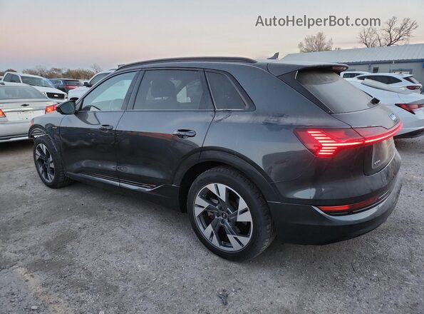 WA1AAAGE3MB013466 2021 AUDI E-TRON Gray უკანა მარცხენა