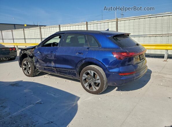 WA1AAAGE4MB024265 2021 AUDI E-TRON Blue Tył lewy