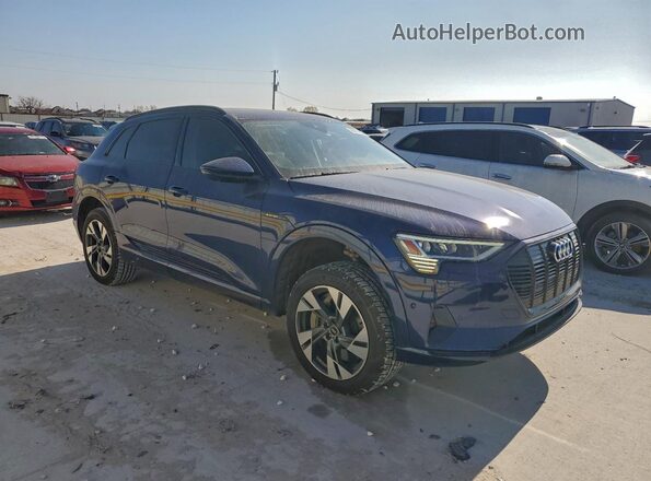 WA1AAAGE4MB024265 2021 AUDI E-TRON Blue Przód prawy
