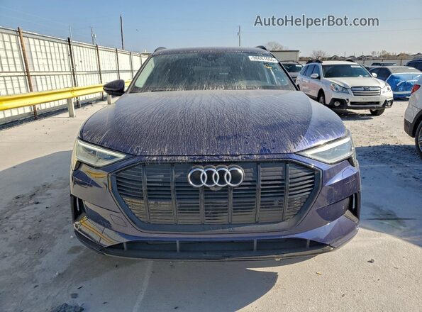 WA1AAAGE4MB024265 2021 AUDI E-TRON Blue Widok z przodu