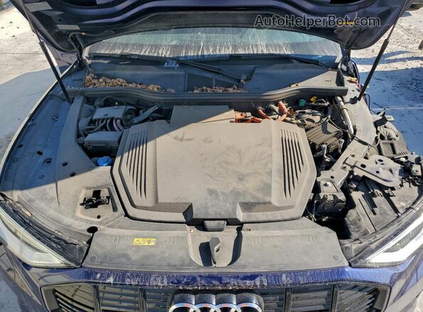 WA1AAAGE4MB024265 2021 AUDI E-TRON Blue Widok komory silnika